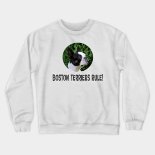 Boston Terriers Rule! Crewneck Sweatshirt